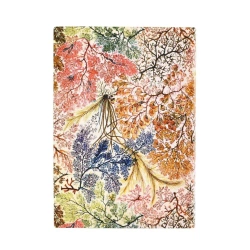 Notatnik czysty Anemone midi - Paperblanks