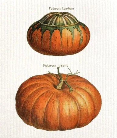 Ściereczka kuchenna Dynie - Skona Ting