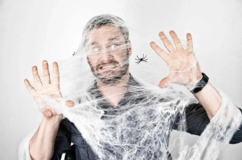 Pajęczyna z pająkiem - Arpex