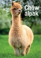 Chów alpak - Anna Morales Villavicencio