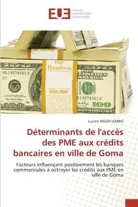 Déterminants de l'accès des PME aux crédits bancaires en ville de Goma - LUCIEN NGOA LEMBO