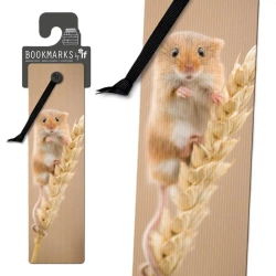 Zakładka 3D 15407 - Mysz - IF