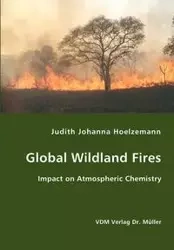 Global Wildland Fires - Judith Johanna Hoelzemann