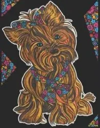 Kolorowanka Welwetowa Colorvelvet A4 Yorkshire Terrier - Stepp Sp.z.o.o