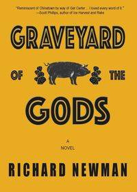 Graveyard of the Gods - Richard Newman