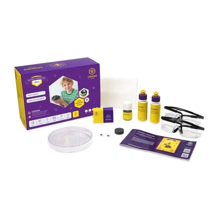 Eksperymenty naukowe Pożeracz magnesów - SmartBee