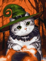 Malowanie po numerach - Magiczny kotek Kids - Ideyka