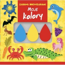 Zabawa drewienkami. Moje kolory - praca zbiorowa