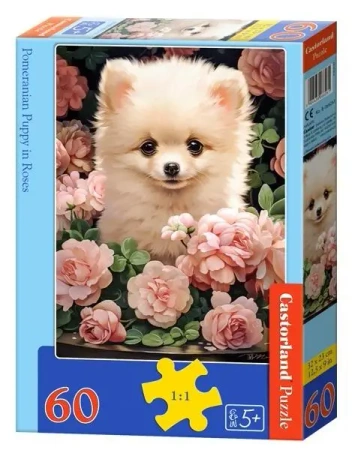 Puzzle 60 Pomeranian Puppy in Roses CASTOR - Castorland