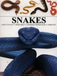 Snakes - Julianna Photopoulos