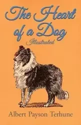The Heart of a Dog - Illustrated - Albert Terhune Payson