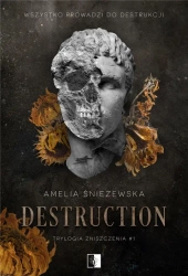 Destruction - Amelia Śnieżewska