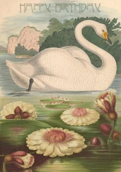 Karnet B6 z kopertą Urodziny Łabędź - Madame Treacle