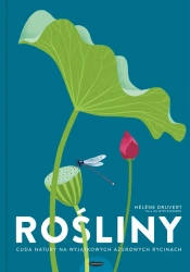 Rośliny. Cuda natury na wyjątkowych ażurowych ryci - Juliette Einhorn, Hlne Druvert, Jowita Maksymowic