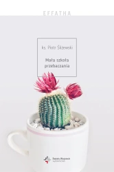 Effatha mała szkoła przebaczania - Piotr Śliżewski