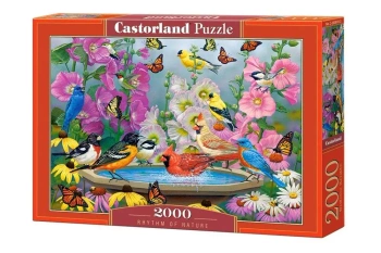 Puzzle 2000 Rhythm of Nature - Castorland