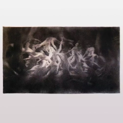 Swarmlife, CD