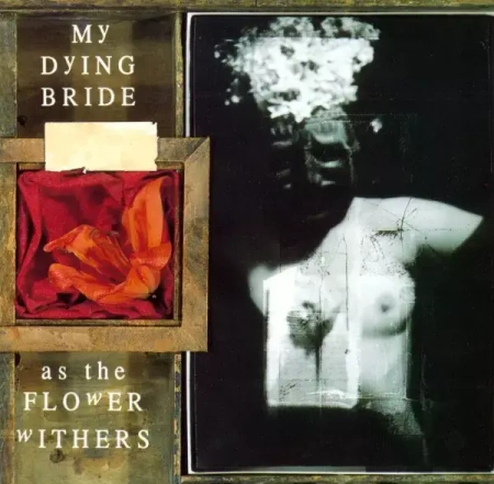 As The Flower Withers. CD