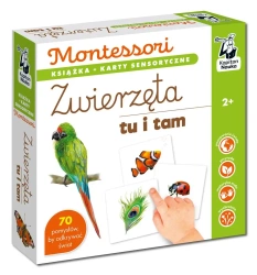 Montessori. Zwierzęta tu i tam. Karty sensoryczne - Katarzyna Dołhun, Katarzyna Fus