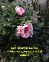 eBook Bajki i powiastki dla dzieci z celniejszych bajkopisarzy polskich wybrane - Antologia epub mobi