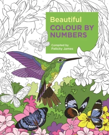 Beautiful Colour by Numbers - James Felicity