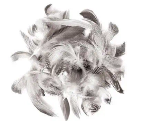 Pióra Kacze 5-12cm 5g - Dalprint