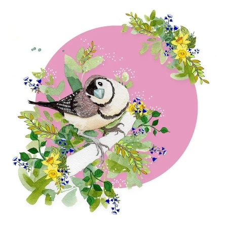 Karnet Swarovski kwadrat CL2010 Ptaszek - Clear Creations