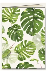 Zeszyt ozdobny A5/48K linia Liście - Tassotti