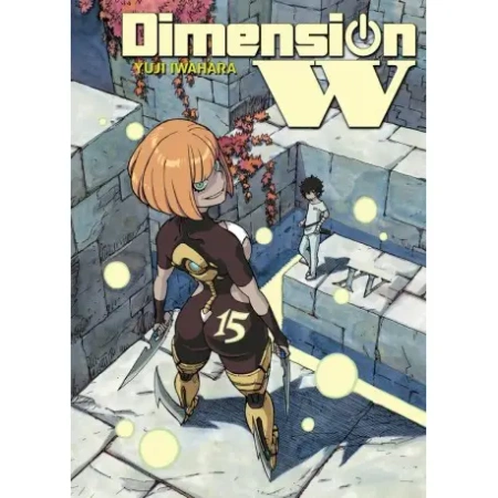 Dimension W. Tom 15 - Yuji Iwahara