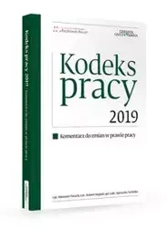 Kodeks pracy 2019 Komentarz do zmian w prawie pracy - Sławomir Paruch, Robert Stępień, Agnieszka Nicińska