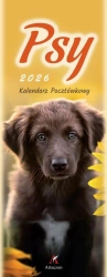 Kalendarz 2026 pocztówkowy 12,5x33cm Psy - Artsezon