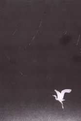 Manowce - Tomasz Berrached