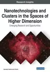 Nanotechnologies and Clusters in the Spaces of Higher Dimension - Zhizhin Gennadiy Vladimirovich