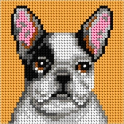 Haft. Moje pierwsze wyszywanie - Buldog - Anex-bis