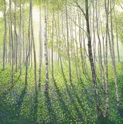 Karnet z kopertą Brzozowy las - Susan Entwistle