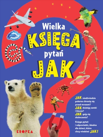 Wielka księga pytań jak - Sally Symes, Taylor Saranne, Kate Slater
