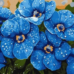 Malowanie po numerach - Fiołki w rosie 40x40cm - Ideyka