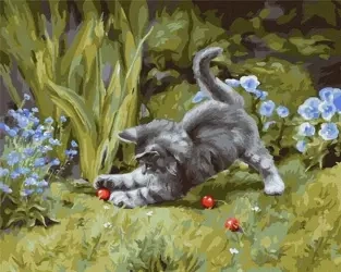Malowanie po numerach - Zabawny kotek 40x50cm - Ideyka