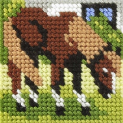 Haft. Moje pierwsze wyszywanie - Konik - Anex-bis