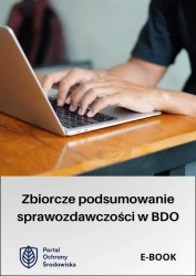 eBook Zbiorcze podsumowanie sprawozdawczości w BDO - Aleksandra Gembora epub mobi