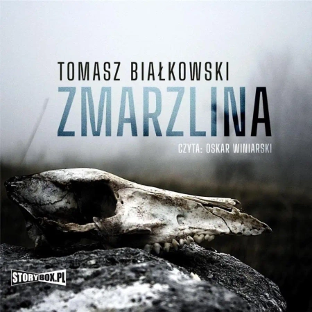 Zmarzlina audiobook - Tomasz Białkowski