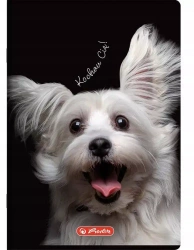 Herlitz Zeszyt do słówek A6 Crazy Animal kratka 32 kartki