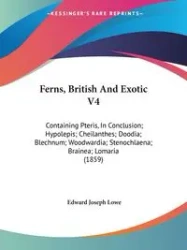 Ferns, British And Exotic V4 - Edward Joseph Lowe