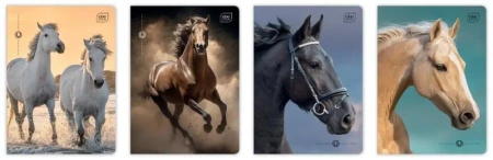 Zeszyt A5/16K kratka 70g UV Wild Horses (20szt) - INTERDRUK