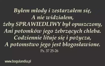 Magnes na lodówkę. Byłem młody i zestarzałem się...