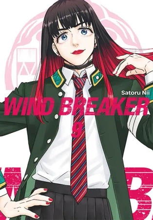 Wind Breaker. Tom 9 - Satoru Nii