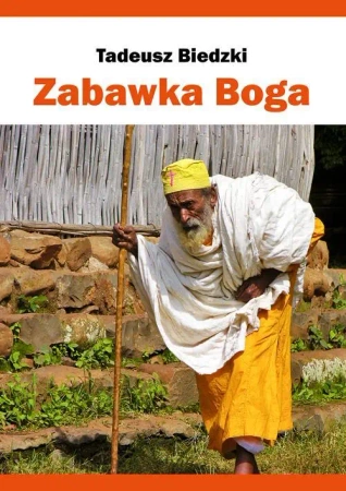 Zabawka Boga - Tadeusz Biedzki