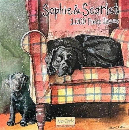 Puzzle 1000 J08 Psy Sophie&Scarlett - Alex Clark