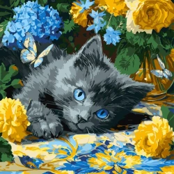 Malowanie po numerach - Błękitnookie kocię 40x40cm - Ideyka