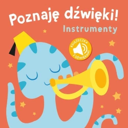 Poznaję dźwięki - Instrumenty - praca zbiorowa
